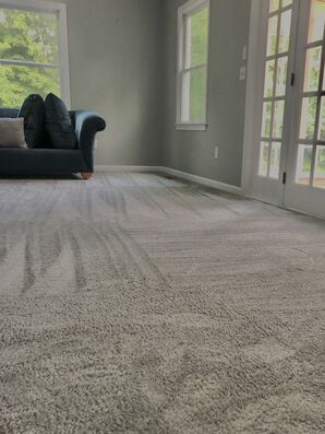 Carpet Cleaning in Georgetown, CT (1)