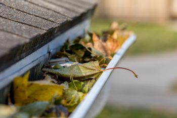 Gutter Cleaning in Stevenson, CT by Clara Cleaning Services, LLC