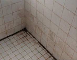 Deep Cleaning in Bethel, CT (3)