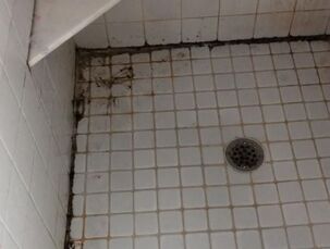 Deep Cleaning in Bethel, CT (4)
